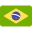 Brazilian Flag